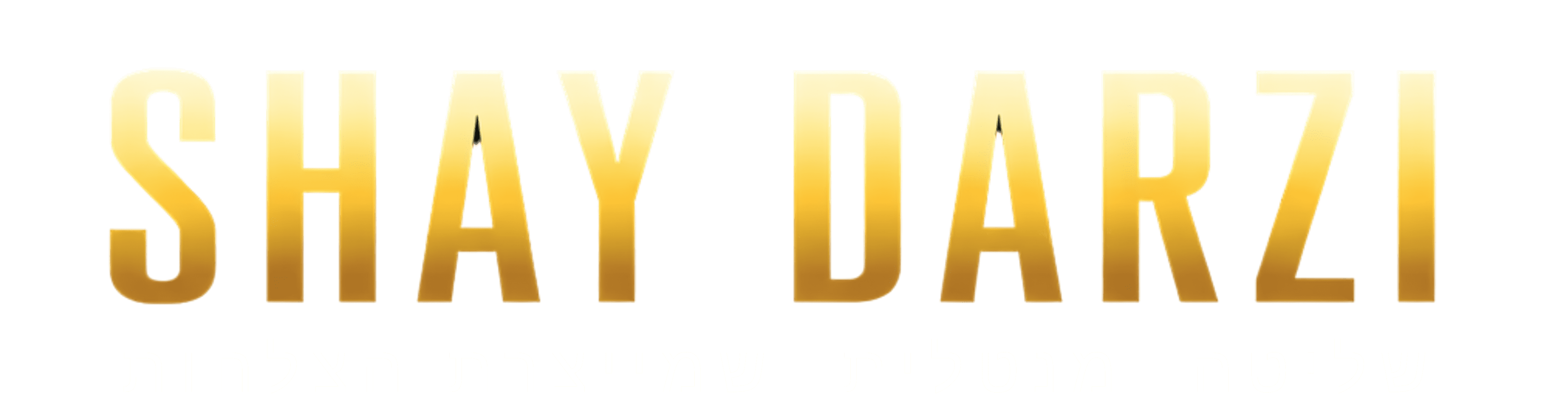Shay Darzi Logo